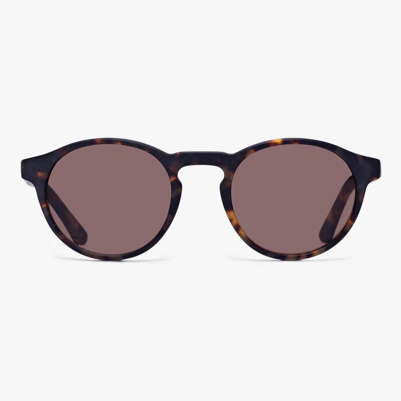 Women's Trondheim Dark Turtle sunglasses with tortoiseshell frame